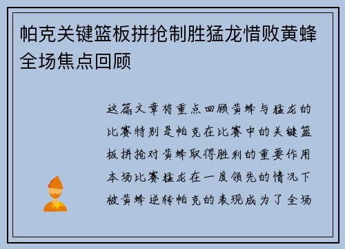 帕克关键篮板拼抢制胜猛龙惜败黄蜂全场焦点回顾